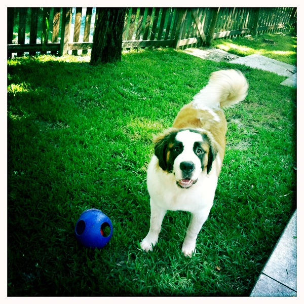 Hip 335718688.948657