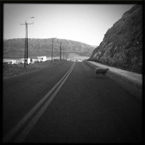 Hip 331400650.387491