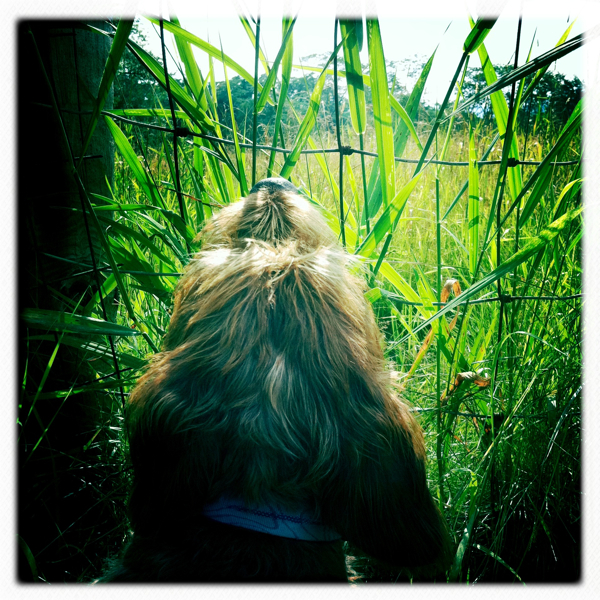 Hip 332715584.402478