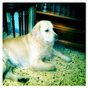 Hip 335704396.080740