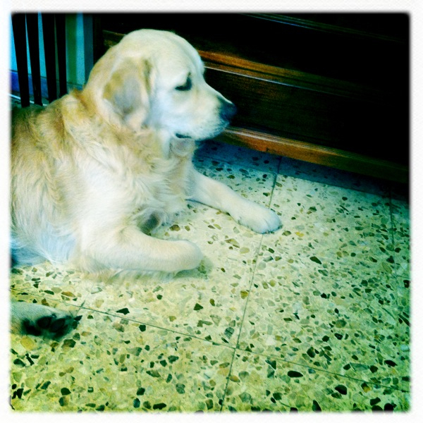 Hip 335704401.045494