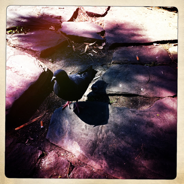 Hip 335522686.214672