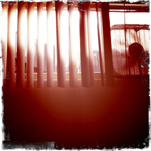 Hip 335720998.840936