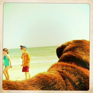 Hip 335300448.127101