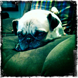 Hip 335720410.598089