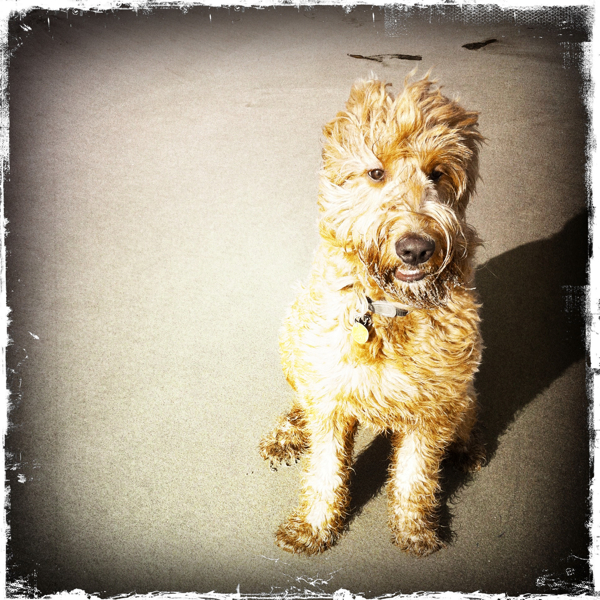 Hip 331692768.614513