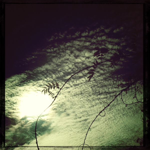 Hip 335545960.978568