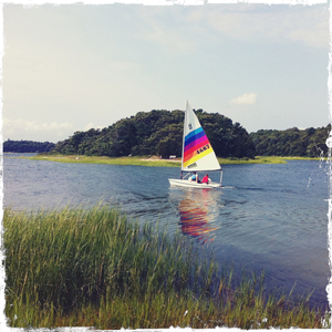 Hip 335646371.192068