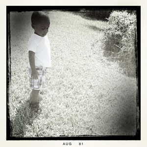 Hip 335718748.114578