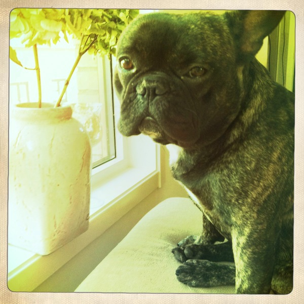 Hip 335724029.971760