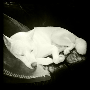 Hip 335724694.228938