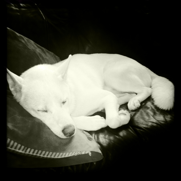 Hip 335724694.228938