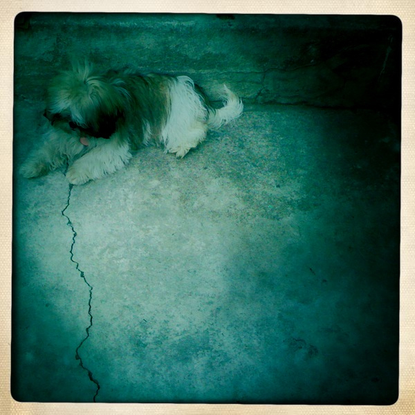 Hip 317507512.028547