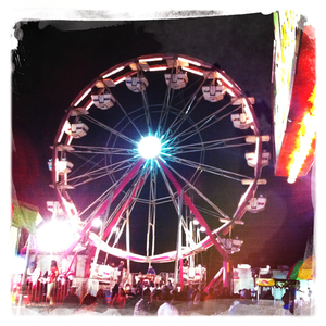 Hip 334991075.141596