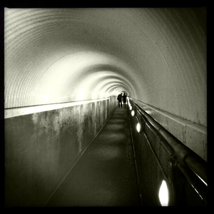 Hip 335643014.246509