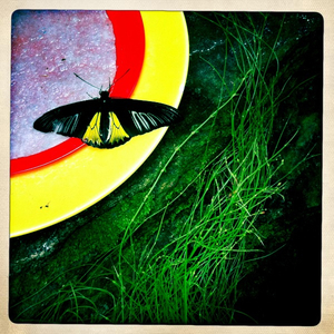 Hip 335637928.448226