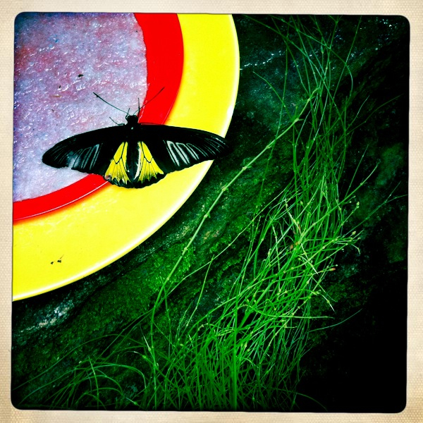 Hip 335637928.448226