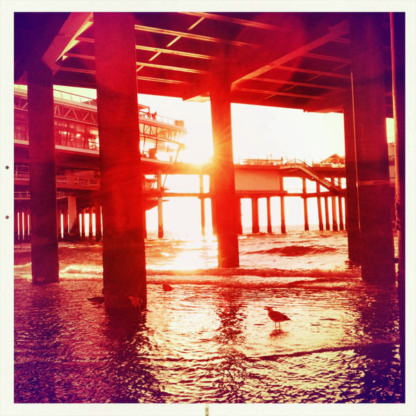 Hip 335038037.007436