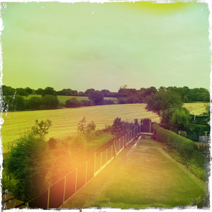 Hip 335729004.500552