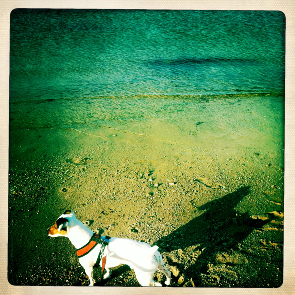 Hip 332634475.309340