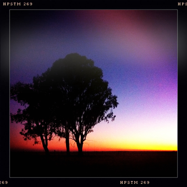 Hip 334639825.659311