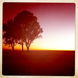 Hip 334639559.820653