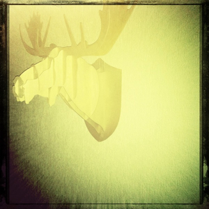 Hip 335643239.344007