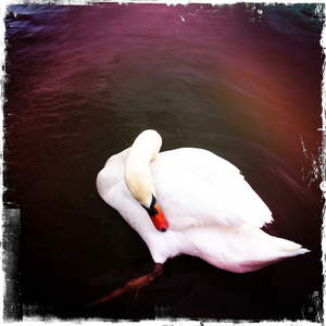 Hip 325898885.800683