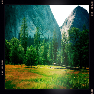 Hip 334611355.503687