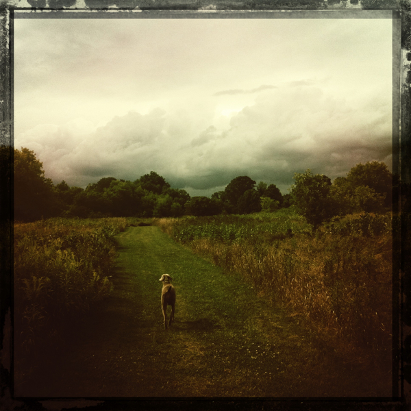 Hip 335650309.468414