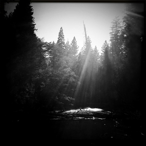 Hip 334542913.276526