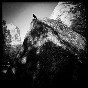 Hip 334539428.123372