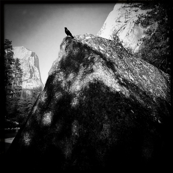 Hip 334539428.123372