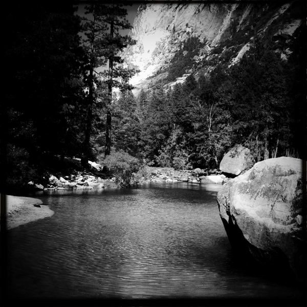 Hip 334538259.134106