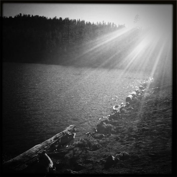 Hip 334460641.703264