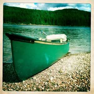 Hip 334501144.490950