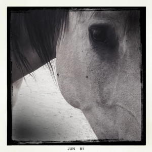 Hip 331058598.338911