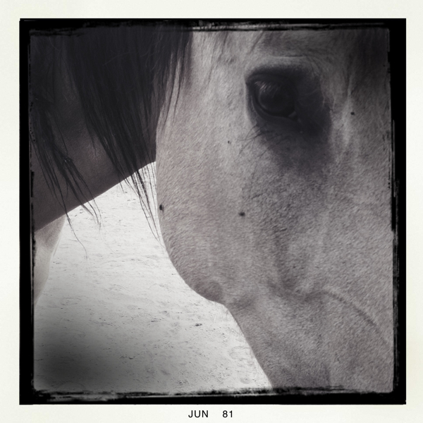 Hip 331058598.338911