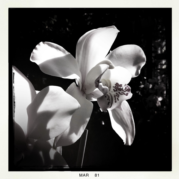 Hip 320700864.849472