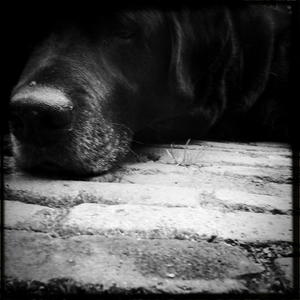 Hip 335716601.940675