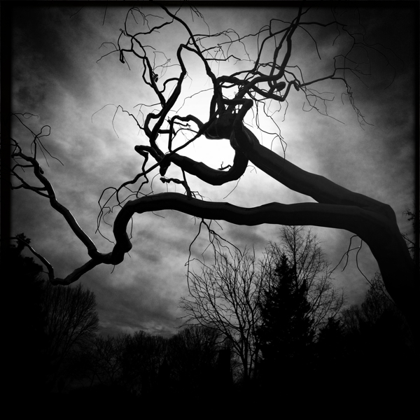 Hip 320529352.691758