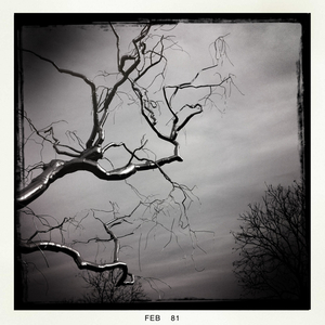 Hip 320529705.648060