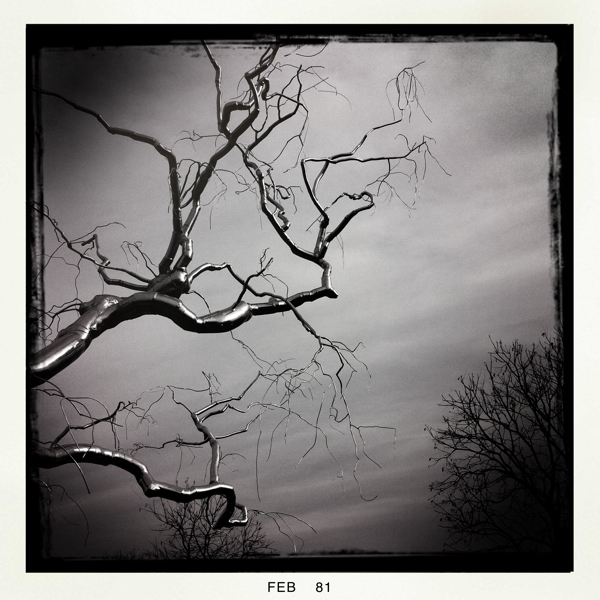 Hip 320529705.648060