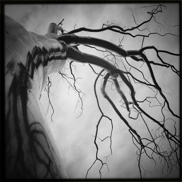 Hip 320530399.180968