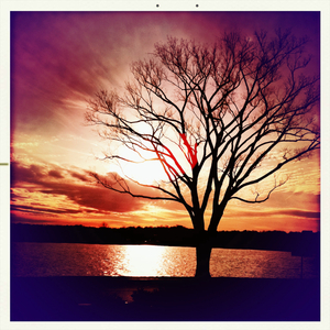 Hip 320450763.425198