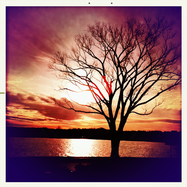 Hip 320450763.425198