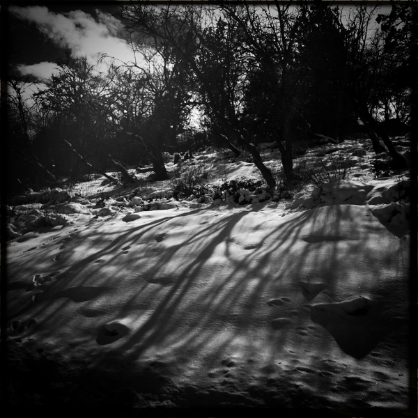 Hip 320186590.467947