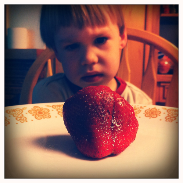 Hip 329589995.328135