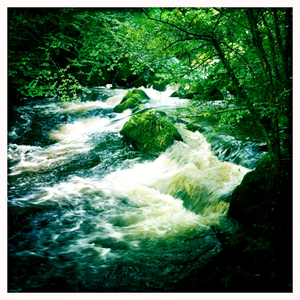 Hip 335606562.534427