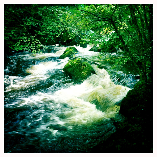 Hip 335606562.534427